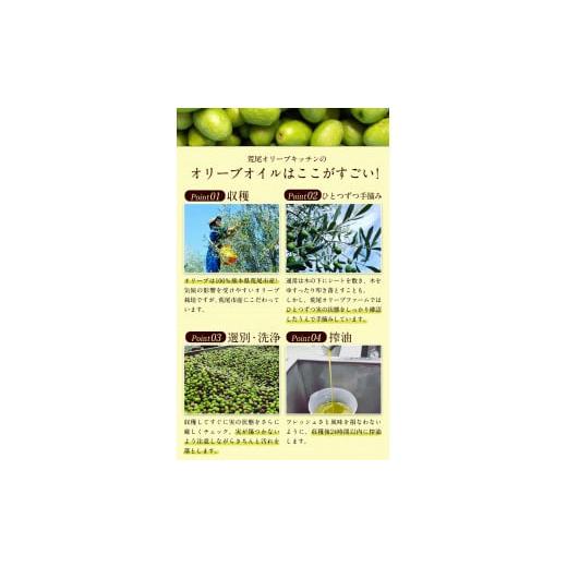 ふるさと納税 熊本県 荒尾市 荒尾市産100％ エキストラバージンオリーブオイル 2本セット 《12月上旬-12月末頃より出荷予定》荒尾オリーブファーム合同会社 