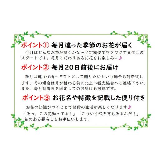 ふるさと納税 花・苗木 花束 岩手県 北上市 定期便 ／ 3ヶ月 季節の花束プレミアム お花 プレゼント ご褒美 生花 贈り物 岩手県 北上市 J0069 花工房 パルテ…_5