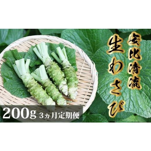 ふるさと納税 野菜類 薬味 岩手県 八幡平市 岩手県産 生わさび 200g 3ヶ月定期便 安比清流山葵園 / 山葵 ワサビ わさび 薬味 国産 八幡平市産 産地直送 新鮮 …