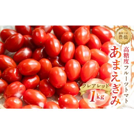 ふるさと納税 トマト ミニトマト 愛知県 豊橋市 今が旬 フルーツトマト あまえぎみ 約1kg クレアレッド フルーツトマト 1キロ 1kg たっぷり ミニトマト プチ…