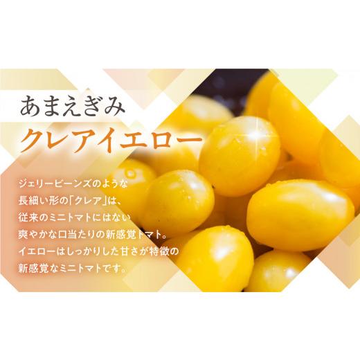 ふるさと納税 トマト ミニトマト 愛知県 豊橋市  今が旬 フルーツトマト あまえぎみ 約1kg クレアイエロー フルーツトマト 1キロ 1kg たっぷり ミニトマト プ…_2