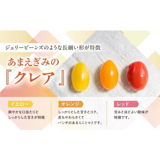 ふるさと納税 トマト ミニトマト 愛知県 豊橋市  今が旬 フルーツトマト あまえぎみ 約1kg クレアイエロー フルーツトマト 1キロ 1kg たっぷり ミニトマト プ…_3