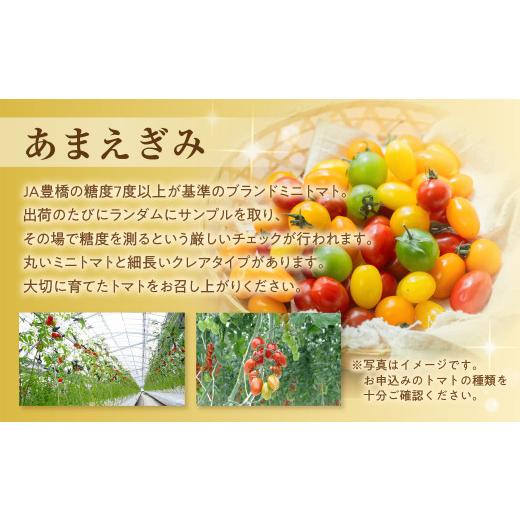 ふるさと納税 トマト ミニトマト 愛知県 豊橋市  今が旬 フルーツトマト あまえぎみ 約1kg クレアイエロー フルーツトマト 1キロ 1kg たっぷり ミニトマト プ…_4