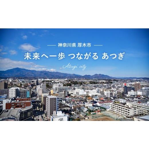 ふるさと納税 陶磁器・漆器・ガラス 神奈川県 厚木市 金彩釉の２３４３オリジナルプレート 1枚 ／ シンプル 釉薬 神奈川県 No.622の画像