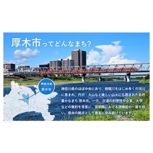ふるさと納税 陶磁器・漆器・ガラス 神奈川県 厚木市 金彩釉の２３４３オリジナルプレート 1枚 ／ シンプル 釉薬 神奈川県 No.622の画像