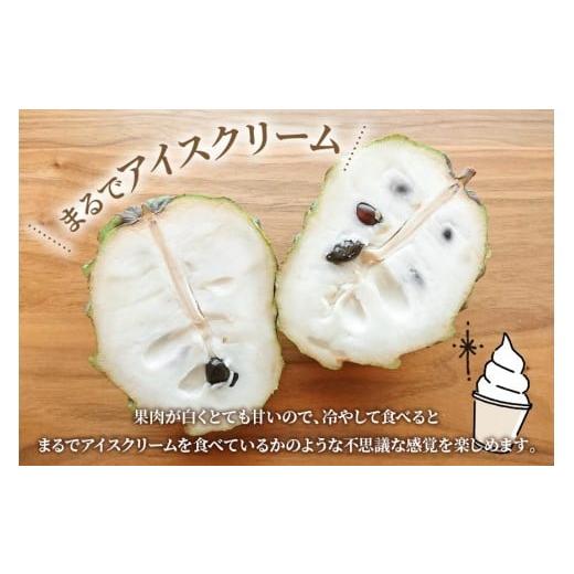 ふるさと納税 果物類 沖縄県 宮古島市 宮古島産アテモヤ約1kg（2〜6