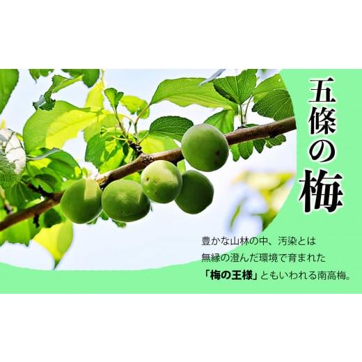 ふるさと納税 加工品等 梅干 奈良県 五條市 有機栽培　梅干し手作りセット｜果実 かじつ カジツ 梅 うめ ウメ 梅干し うめぼし 奈良県 五條市 健康 梅干し 梅…_5