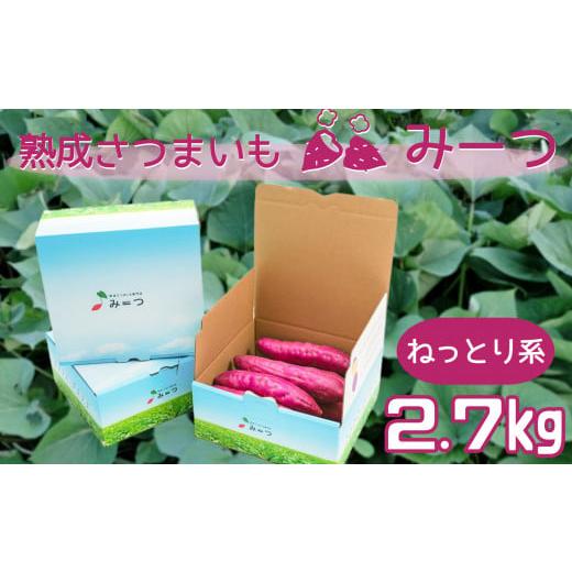 ふるさと納税 徳島県 鳴門市 熟成さつまいも みーつ (ねっとり系) 2.7kg【数量限定】｜furusatochoice｜02