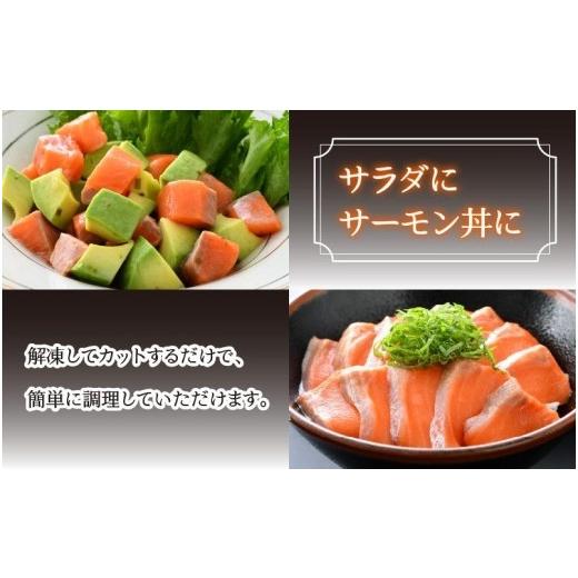 ふるさと納税 魚貝類 サーモン 福井県 あわら市 《定期便6回》ふくいサーモン 柵どり 150g&times;4パック 計600g 鮮度抜群 真空冷凍 ／ 生食OK 刺身 鮭 国産