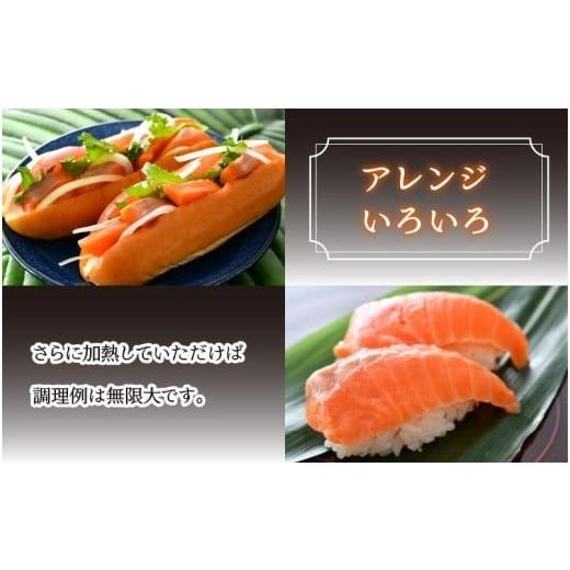 ふるさと納税 魚貝類 サーモン 福井県 あわら市 《定期便6回》ふくいサーモン 柵どり 150g&times;4パック 計600g 鮮度抜群 真空冷凍 ／ 生食OK 刺身 鮭 国産