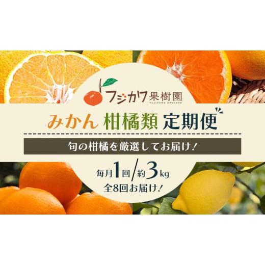 ふるさと納税 香川県 観音寺市 頒布会 彩り柑橘 8回定期便