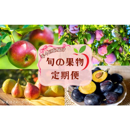 ふるさと納税 果物の詰合せ 長野県 佐久穂町 先行受付 4カ月箱いっぱいにお届け 佐久穂町で育った旬のフルーツ定期便(8月〜11月)〔AK-T501〕