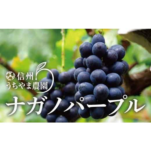 セーラームーン ファンクラブ限定フィギュア 美少女戦士セーラームーン