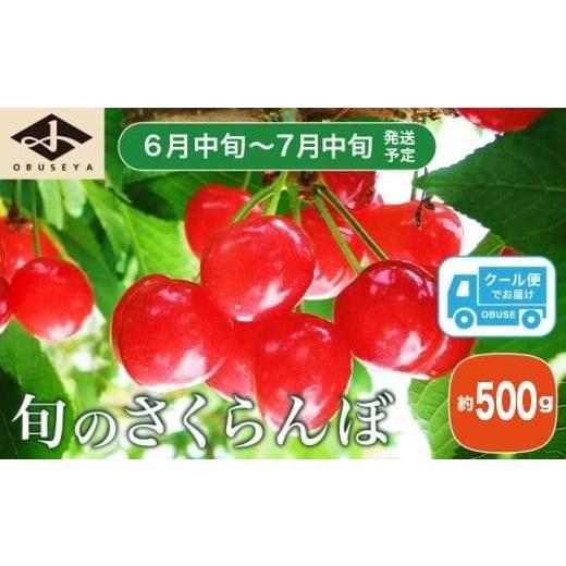 ふるさと納税 果物類 さくらんぼ 長野県 小布施町 旬のさくらんぼ 約500g[小布施屋] 佐藤錦、紅秀峰、紅佐藤、紅香、サミット など くだもの 果物 サクラン…