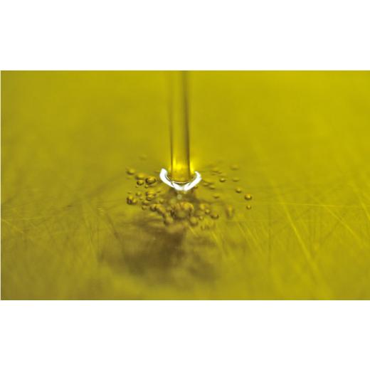 ふるさと納税 アロマ・入浴剤 アロマ用品 長崎県 五島市  3回定期便 雫 シャンプー420ml 五島市／椿乃 PAM038 ノンシリコンシャンプー シャンプー 肌にやさし…の画像