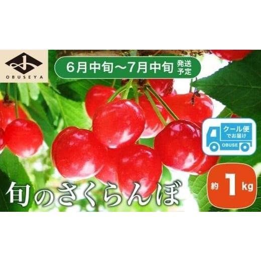 ふるさと納税 果物類 さくらんぼ 長野県 小布施町 旬のさくらんぼ 佐藤錦、紅秀峰、紅佐藤、紅香、サミット 約1kg[小布施屋]サクランボ くだもの 果物 フル…