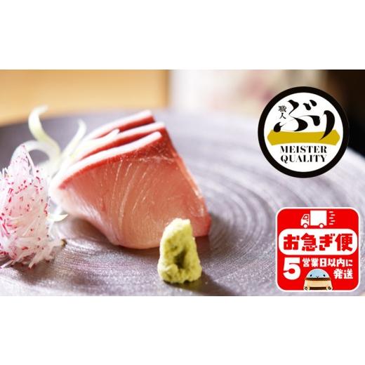 ふるさと納税 魚貝類 鹿児島県 垂水市 AQ-4711-202605/ 鹿児島産ぶり 冷凍・ぶり半身セット(皮無ロイン背腹計2p、カマ1p)