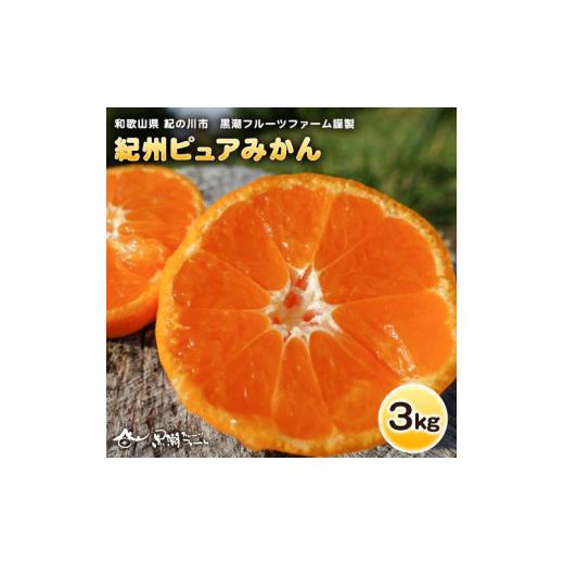 ふるさと納税 果物類 みかん 和歌山県 紀の川市 紀州ピュアみかん100 3kg 黒潮フルーツファーム[11月下旬-12月下旬頃出荷]和歌山県 紀の川市 みかん フルー…