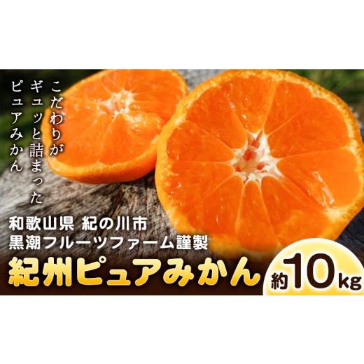 ふるさと納税 果物類 みかん 和歌山県 紀の川市 紀州ピュアみかん100 10kg 黒潮フルーツファーム[11月下旬-12月下旬頃出荷]和歌山県 紀の川市 みかん フルー…