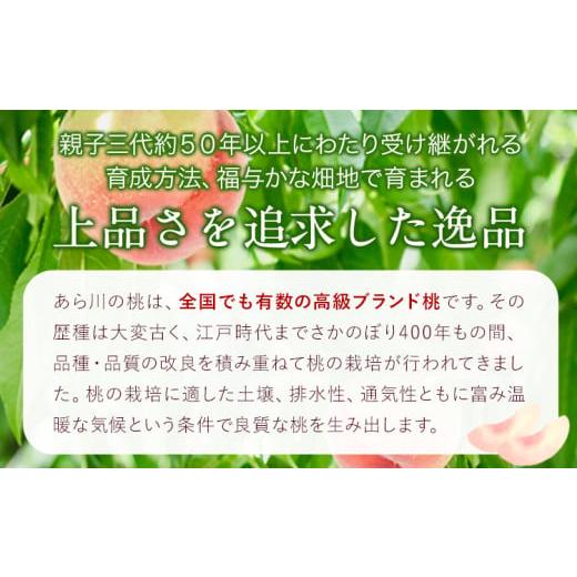 ふるさと納税 もも 和歌山県 紀の川市  2026年先行予約 あら川の桃 (ご家庭用) 約1.5-2kg (7-8個) 橋村農園《2026年6月下旬〜8月上旬頃出荷》和歌山県 紀の川…の画像