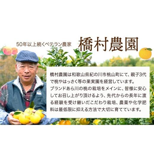 ふるさと納税 もも 和歌山県 紀の川市  2026年先行予約 あら川の桃 (ご家庭用) 約1.5-2kg (7-8個) 橋村農園《2026年6月下旬〜8月上旬頃出荷》和歌山県 紀の川…の画像
