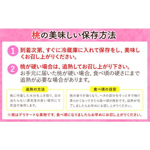 ふるさと納税 もも 和歌山県 紀の川市  2026年先行予約 あら川の桃 (ご家庭用) 約1.5-2kg (7-8個) 橋村農園《2026年6月下旬〜8月上旬頃出荷》和歌山県 紀の川…の画像