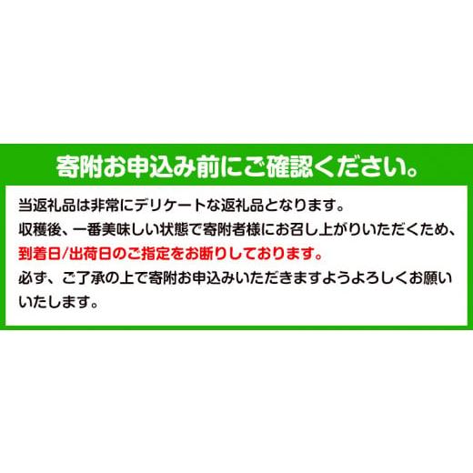 ふるさと納税 もも 和歌山県 紀の川市  2026年先行予約 あら川の桃 (ご家庭用) 約1.5-2kg (7-8個) 橋村農園《2026年6月下旬〜8月上旬頃出荷》和歌山県 紀の川…の画像