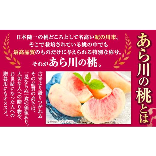 ふるさと納税 もも 和歌山県 紀の川市  桃 アフター保証付 トロっと とろける旨さ ブランド桃 あら川の桃 約2kg(5-8玉入り) お届け時期に合わせた品種を厳選し…の画像
