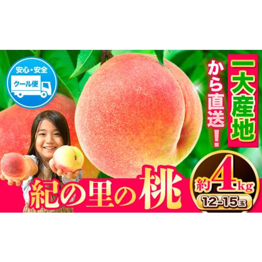 ふるさと納税 和歌山県 紀の川市 桃 モモ もも 紀の里の桃 約4kg(12-15玉入り)《2024年6月中旬-8月中旬頃出荷》 お届け時期に合わせた品種を厳選してお届けい…｜furusatochoice｜02