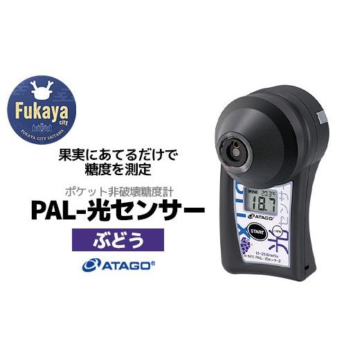 ふるさと納税 電化製品 埼玉県 深谷市 ポケット非破壊糖度計 PAL-光センサー2（ぶどう）  11218-0444の画像