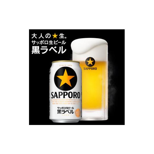 ふるさと納税 ビール 静岡県 焼津市 T0108-1504  定期便 4回 黒ラベルビール 350ml×1箱(24缶)の画像