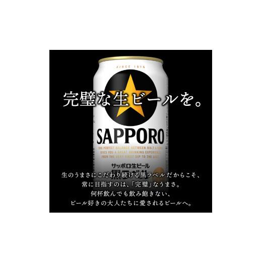 ふるさと納税 ビール 静岡県 焼津市 T0108-1504  定期便 4回 黒ラベルビール 350ml×1箱(24缶)の画像