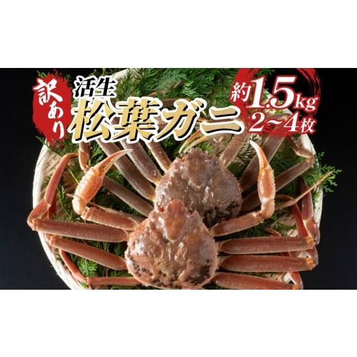 ふるさと納税 カニ 松葉ガニ 鳥取県 岩美町 訳あり松葉がに(生)|鳥取 岩美 日本海 松葉ガニ かに ズワイガニ お届けは2026年11月中旬〜 22010-2