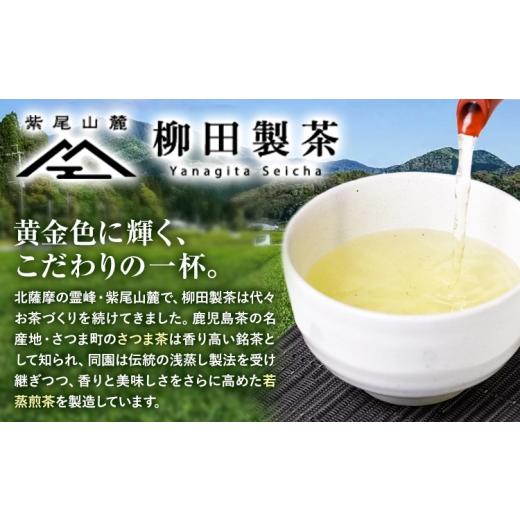 ふるさと納税 お茶類 緑茶（飲料） 鹿児島県 さつま町 若蒸煎茶 上煎茶 セット 水出しボトル ハリオ 80g 柳田製茶《30日以内に出荷予定(土日祝除く)》鹿児島県…