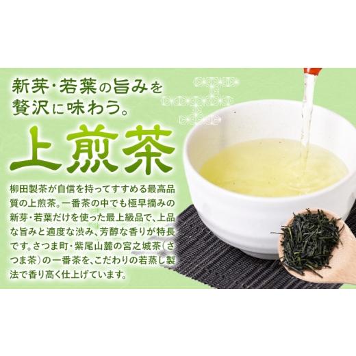 ふるさと納税 お茶類 緑茶（飲料） 鹿児島県 さつま町 若蒸煎茶 上煎茶 セット 水出しボトル ハリオ 80g 柳田製茶《30日以内に出荷予定(土日祝除く)》鹿児島県…