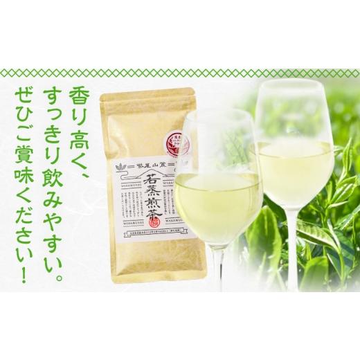 ふるさと納税 お茶類 緑茶（飲料） 鹿児島県 さつま町 若蒸煎茶 上煎茶 セット 水出しボトル ハリオ 80g 柳田製茶《30日以内に出荷予定(土日祝除く)》鹿児島県…