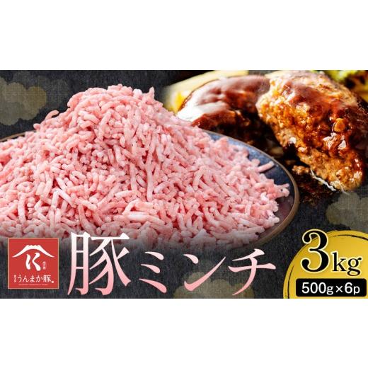 ふるさと納税 豚肉 鹿児島県 さつま町 鹿児島 うんまか 豚ミンチ 計3kg 500g×6P 株式会社寺師[90日以内に出荷予定(土日祝除く) ]鹿児島県 さつま町 豚肉 ミ…