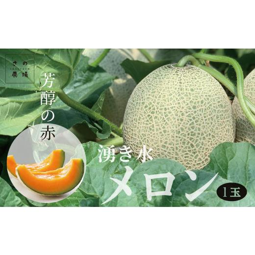 ふるさと納税 メロン メロン赤肉 北海道 津別町 R8年収穫分 数量限定 湧き水メロン(L玉以上)1玉 さの農場