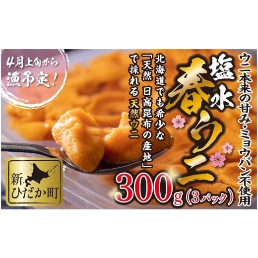 ふるさと納税 ウニ 北海道 新ひだか町 2026年4月上旬より発送 うに 北海道 300g ( 100g × 3パック ) 使用するのは塩水のみ 日高沖産 塩水 生雲丹 春ウニ …