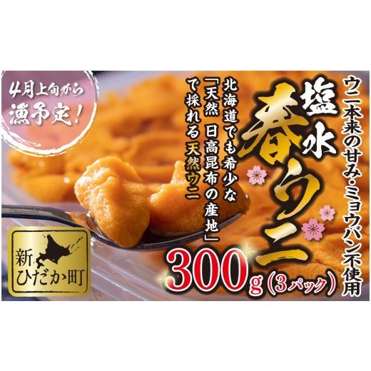 ふるさと納税 ウニ 北海道 新ひだか町  4月30日までの受付 うに 北海道 300g （ 100g × 3パック ） 使用するのは塩水のみ 日高沖産 塩水 生雲丹 春ウニ エゾ…の画像