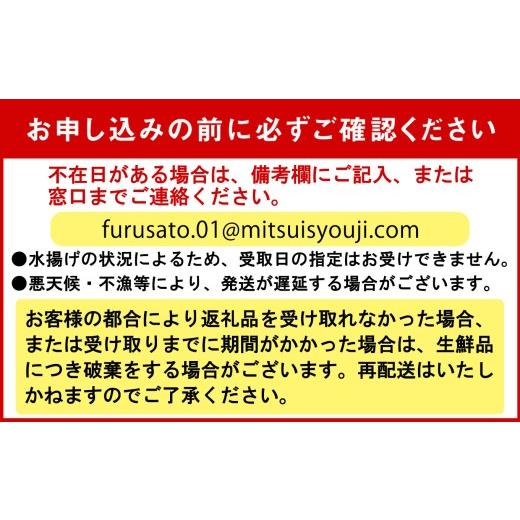 ふるさと納税 ウニ 北海道 新ひだか町  4月30日までの受付 うに 北海道 300g （ 100g × 3パック ） 使用するのは塩水のみ 日高沖産 塩水 生雲丹 春ウニ エゾ…の画像