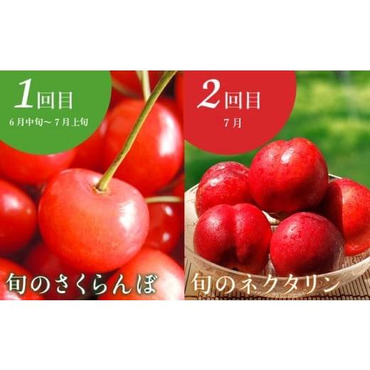 ふるさと納税 果物の詰合せ 長野県 小布施町  10回定期便 小布施屋のフルーツ定期便　年10回コース ［小布施屋］ 定期便 頒布会 フルーツ 果物 信州 令和8年産…_2