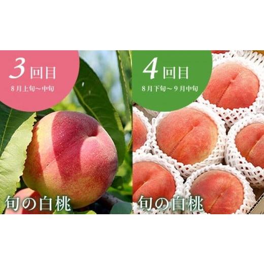 ふるさと納税 果物の詰合せ 長野県 小布施町  10回定期便 小布施屋のフルーツ定期便　年10回コース ［小布施屋］ 定期便 頒布会 フルーツ 果物 信州 令和8年産…_3