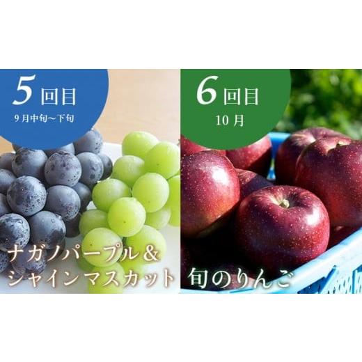 ふるさと納税 果物の詰合せ 長野県 小布施町  10回定期便 小布施屋のフルーツ定期便　年10回コース ［小布施屋］ 定期便 頒布会 フルーツ 果物 信州 令和8年産…_4