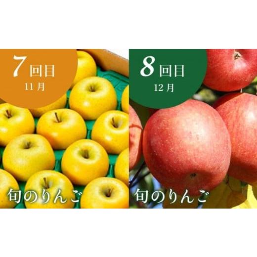 ふるさと納税 果物の詰合せ 長野県 小布施町  10回定期便 小布施屋のフルーツ定期便　年10回コース ［小布施屋］ 定期便 頒布会 フルーツ 果物 信州 令和8年産…_5
