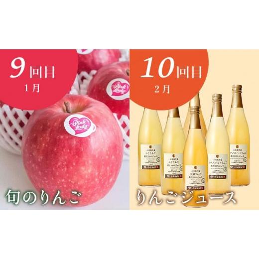 ふるさと納税 果物の詰合せ 長野県 小布施町  10回定期便 小布施屋のフルーツ定期便　年10回コース ［小布施屋］ 定期便 頒布会 フルーツ 果物 信州 令和8年産…_6