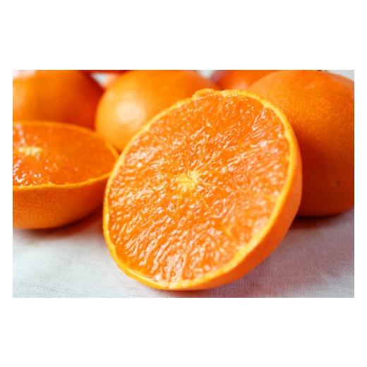 ふるさと納税 果物類 みかん 和歌山県 新宮市 ご家庭用訳あり 紀州和歌山産 せとか 約5kg 先行予約 みかん 2027年2月中旬頃〜2027年3月中旬頃発送予定…