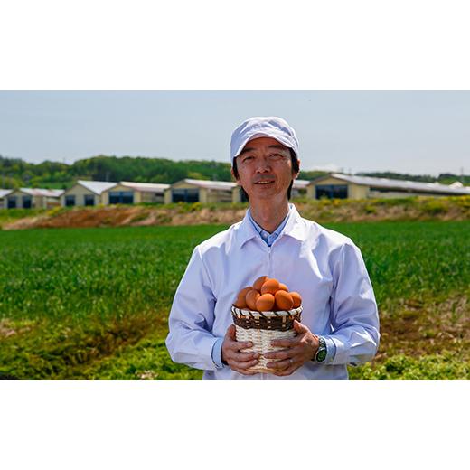 【極美品】 ふるさと納税 北海道 栗山町 【卵6回定期便】北海道産たまごを食べ比べ「とうきびたまご３種」36個×6回発送 酒井農場　L022 【LWH1158324652】(40800円)