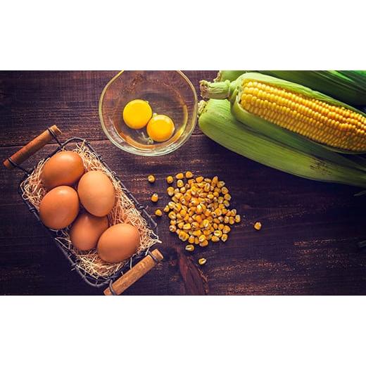 【極美品】 ふるさと納税 北海道 栗山町 【卵6回定期便】北海道産たまごを食べ比べ「とうきびたまご３種」36個×6回発送 酒井農場　L022 【LWH1158324652】(40800円)