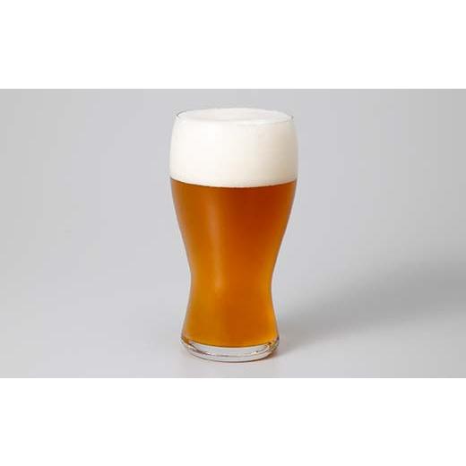 ふるさと納税 ビール 地ビール 富山県 立山町 立山地ビール 星の空 3種詰め合わせ 330ml×24本 地ビール クラフトビール 国産ビール 330ml 24缶 オリジナル ブ…の画像